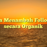 Cara Menambah Follower secara Organik