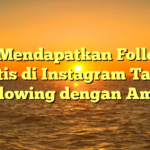 Cara Mendapatkan Followers Gratis di Instagram Tanpa Following dengan Aman