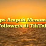 5 Tips Ampuh Menambah Followers di TikTok