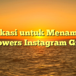 Aplikasi untuk Menambah Followers Instagram Gratis