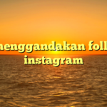 cara menggandakan followers instagram