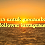 cara untuk menambah follower instagram