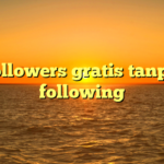 followers gratis tanpa following